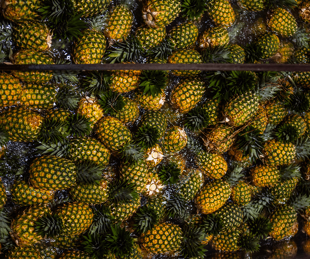 Piña min